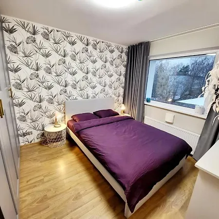 Cozy And Stylish Near The Center. Apartment